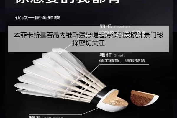 本菲卡新星若昂内维斯强势崛起持续引发欧洲豪门球探密切关注